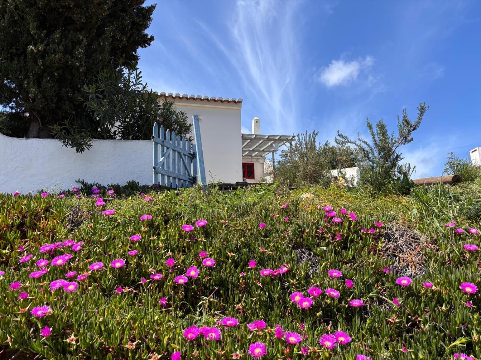 Vila Casa Pedralva Vila do Bispo Exteriér fotografie